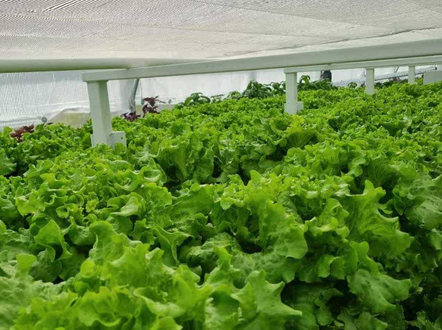 Sera İçinden Görseller