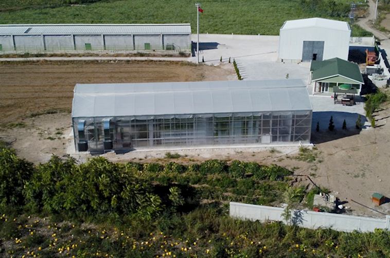 Anahtar Teslim Sera Kurulumu